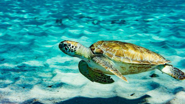 住小琉球民宿 帶您盡覽小琉球之美